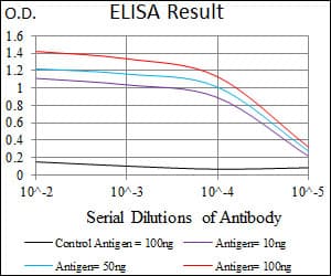 TBXT / T / Brachyury Antibody (aa 257-309, clone 1H9A2)