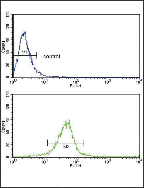 GSTM1 Antibody (aa184-211)