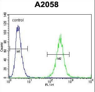 GAB4 Antibody (aa64-92)