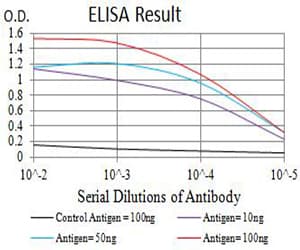Monoclonal Mouse anti-Human CML / BCR Antibody (clone 1E11G12, WB)