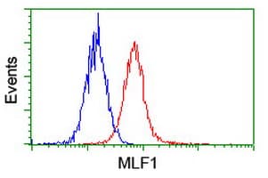MLF1 Antibody (clone OTI2D6, Carrier-free)