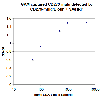 Human PD-L2 / PDCD1LG2 / CD273 Protein (Recombinant)