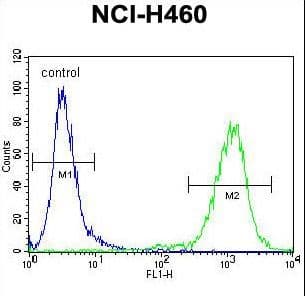 MIER2 Antibody (aa79-108)