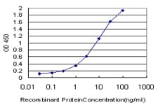TCF19 / TCF-19 Antibody (clone 6D8)