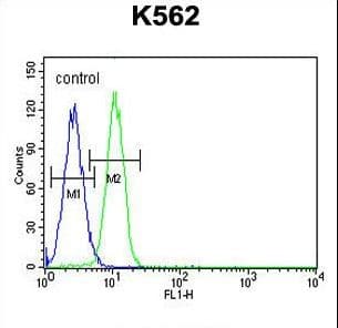 Polyclonal Rabbit anti-Human G6PC / Glucose-6-Phosphatase Antibody (aa123-149, IHC, WB)