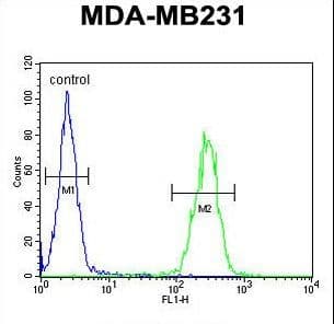 IL36A Antibody (aa35-61)