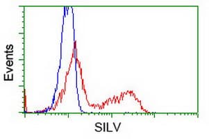 PMEL / SILV / gp100 Antibody (clone OTI7E3)