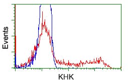 KHK / Ketohexokinase Antibody (clone OTI1D8)