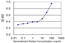 IHC-plus™ ADPRH / ARH1 Antibody (clone 1F11)