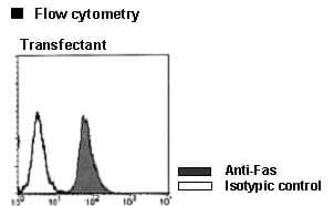 Monoclonal Mouse anti-Human CD95 / FAS Antibody (clone UB2, IHC)