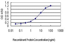 IHC-plus™ HT036 / HYI Antibody (clone 2A2)