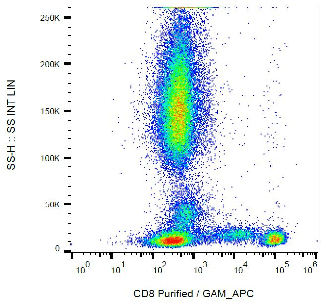 CD8 Antibody (clone MEM-87)