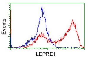 P3H1 / LEPRE1 Antibody (clone OTI1D2)