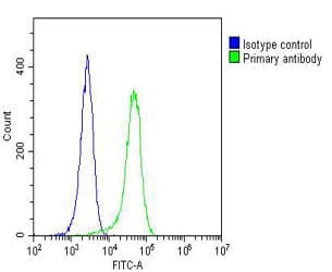 GARS / Glycyl tRNA Synthetase Antibody (clone 1641CT125.1.1)