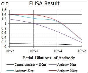 SLC27A5 / BACS Antibody (aa508-570, clone 4B11C10)