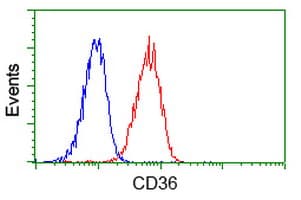 CD36 Antibody (clone OTI4H7, Carrier-free)