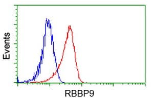 RBBP9 Antibody (clone OTI4G3)