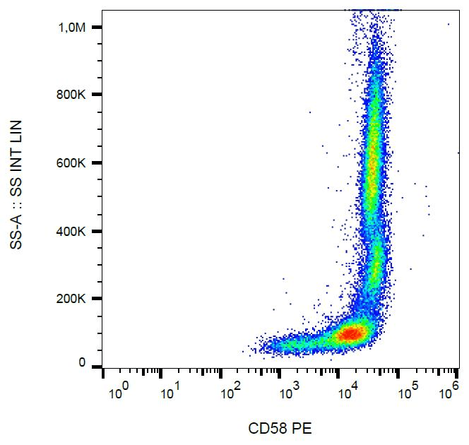 Monoclonal Mouse anti-Human CD58 Antibody (clone MEM-63, PE)