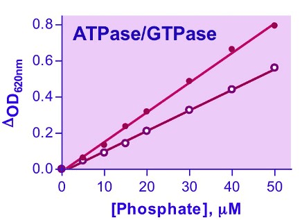 ATPase/GTPase Assay Kit (Colorimetric)