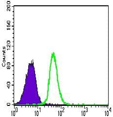 CD144 / CDH5 / VE Cadherin Antibody (Amino Acid: 29-223, clone 3D5C7)