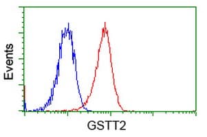 GSTT2 Antibody (clone OTI6B7, Carrier-free)
