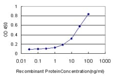 DNASE1L1 Antibody (clone 4E8)