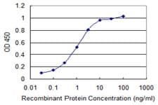 FKBP10 / FKBP65 Antibody (clone 2D4)