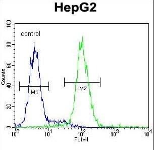 PSMD7 / MOV34 Antibody (aa267-295)
