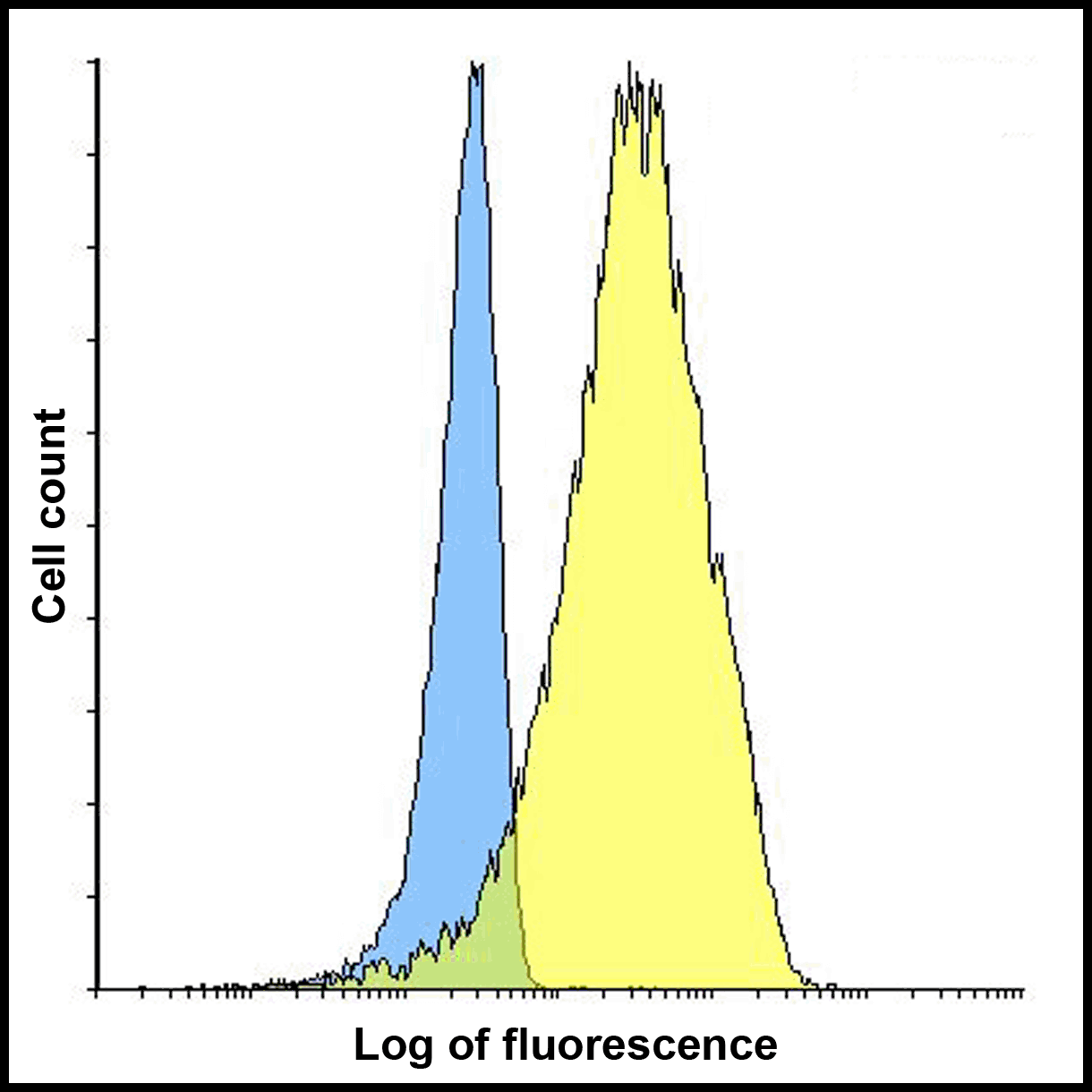 TNFSF14 / LIGHT Antibody (clone 8D4)