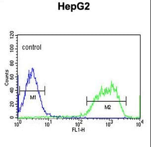 Polyclonal Rabbit anti-Human PXMP2 Antibody (aa40-68, WB)