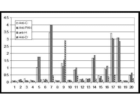 GDF15 Antibody