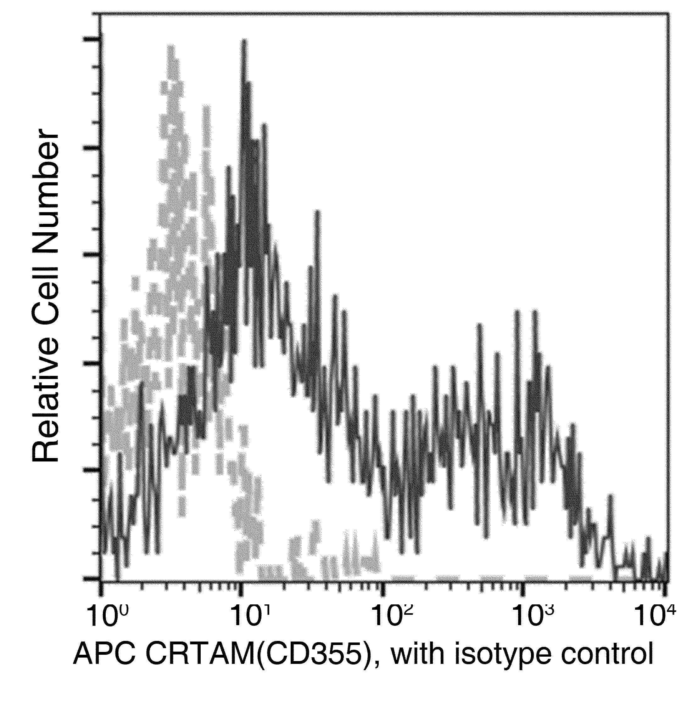 Monoclonal Mouse anti-Human CRTAM Antibody (clone 12, APC)