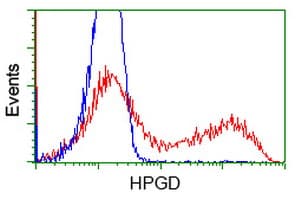 15-PGDH / HPGD Antibody (clone OTI1C10)