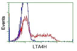 IHC-plus™ LTA4H / LTA4 Antibody (clone 9G8)
