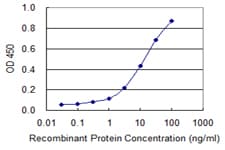 SLC5A3 Antibody (clone 3A6)