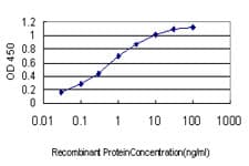 EPHA3 / EPH Receptor A3 Antibody (clone 3A12)