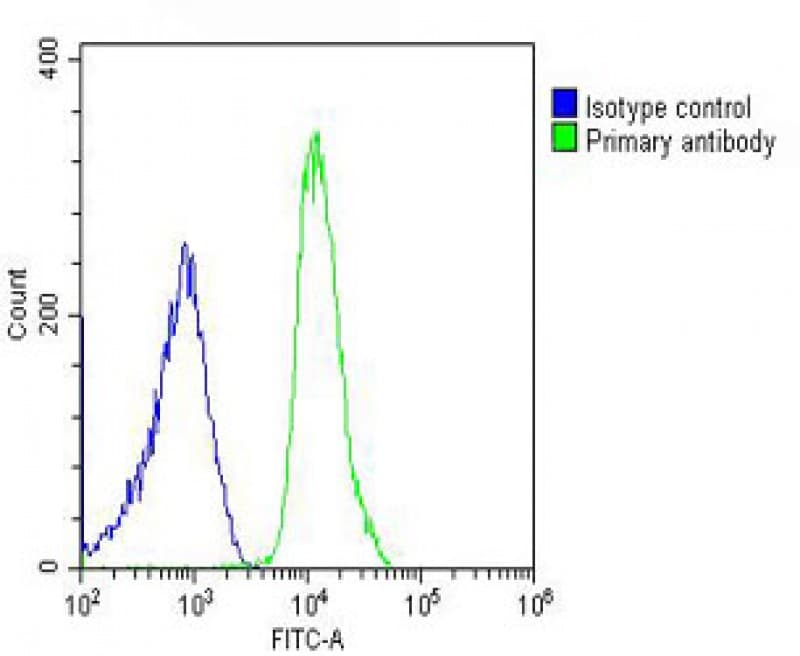 SH3PXD2B Antibody (C-Terminus)