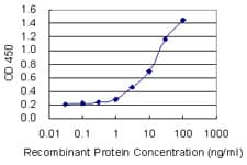 UBA1 / UBE1 Antibody (clone 2B6)