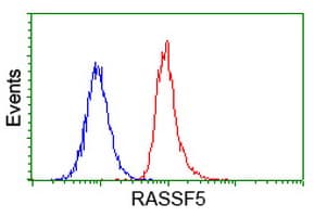 RASSF5 / RAPL Antibody (clone OTI1H2)
