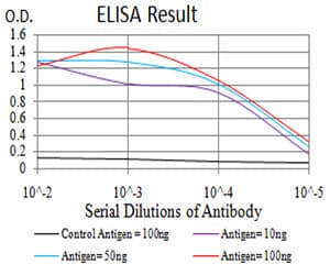 ETF1 / ERF1 Antibody (clone 4F9H12)