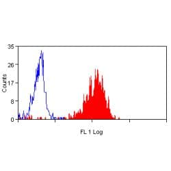 ANPEP / CD13 Antibody (clone WM15, Low Endotoxin)