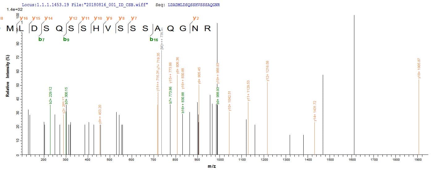 Agrobacterium tumefaciens virE2 Protein (Recombinant 10His, N-terminus + Myc, C-terminus)
