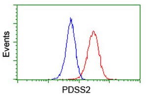 PDSS2 / DLP1 Antibody (clone OTI1D10)