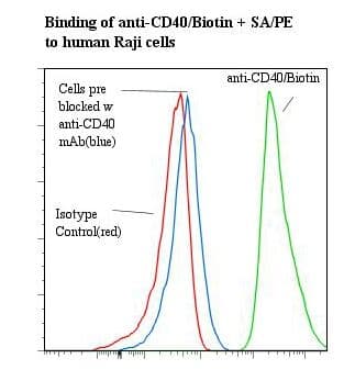 Monoclonal Mouse anti-Human CD40 Antibody (clone EA-5, Biotin)
