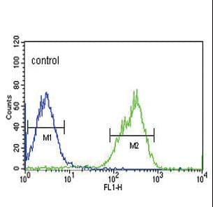 MAP4K3 / GLK Antibody (aa31-283)