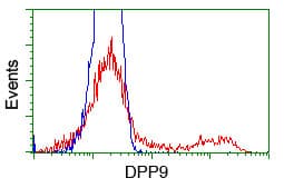 IHC-plus™ DPP9 Antibody (clone 4H8)