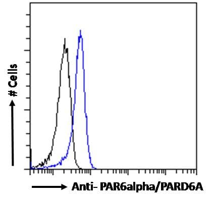 IHC-plus™ Polyclonal Goat anti-Human PARD6A / PAR6 Antibody (aa334-346, IHC, WB)