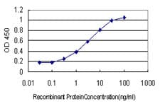 ARHGAP6 Antibody (clone 6B3)