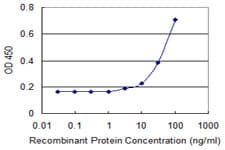 Monoclonal Mouse anti-Human GNGT1 Antibody (clone 1F8, WB)