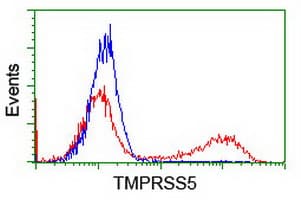 TMPRSS5 Antibody (clone OTI6G10)